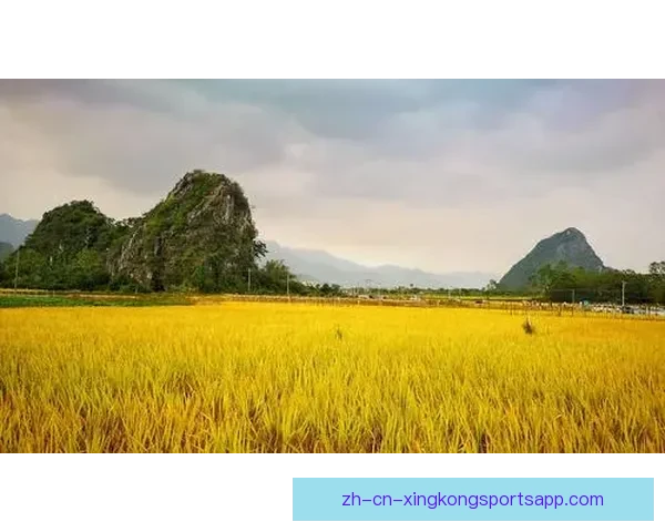 阿马兰特力克泰罗芬斯取得关键胜利全场精彩回顾